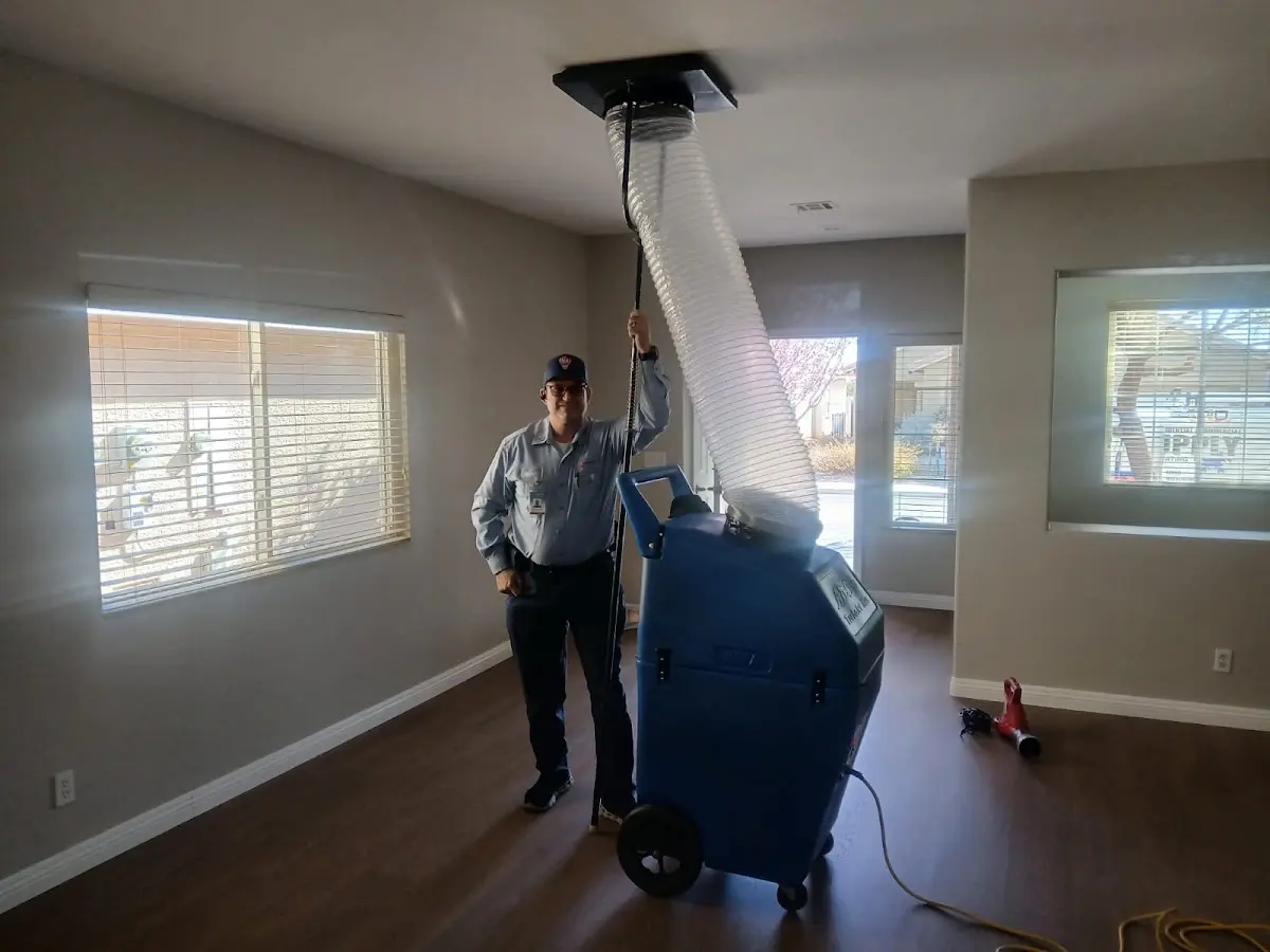 Professional Dryer Vent Cleaning work inside a Muhlenberg home